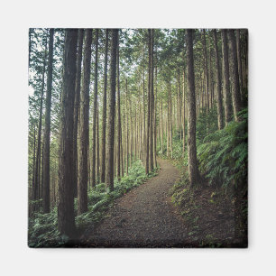 Wälder   Berge Wakayama Japan Magnet