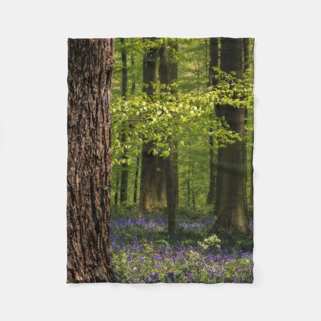Wälder | Bluebells in Belgien Fleecedecke (Vorderseite)