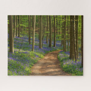 Wälder   Bluebellwald in Belgien Puzzle