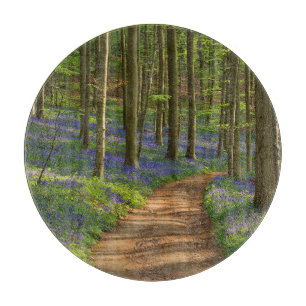 Wälder   Bluebellwald in Belgien Schneidebrett
