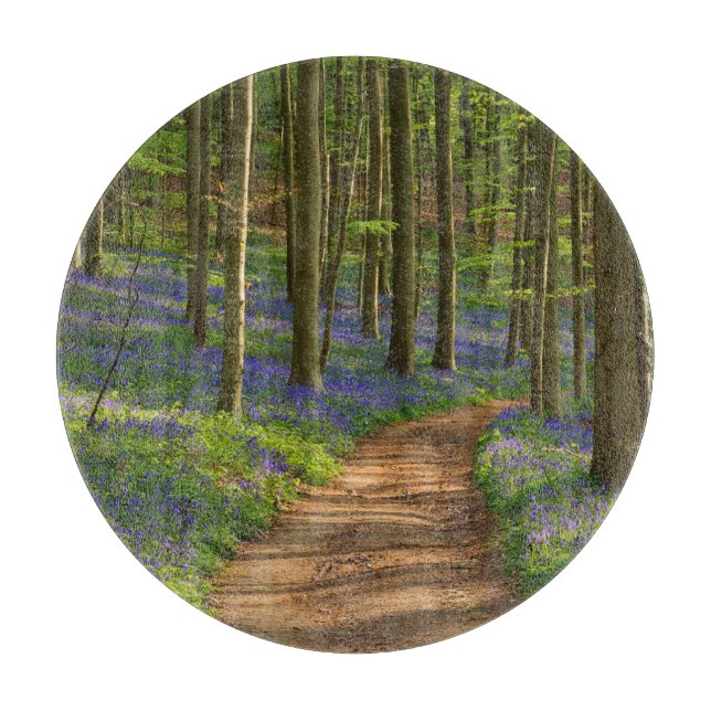 Wälder | Bluebellwald in Belgien Schneidebrett (Vorderseite)