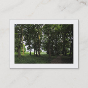 Wälder, Bute Park Cardiff (grenzt an Visitenkarte