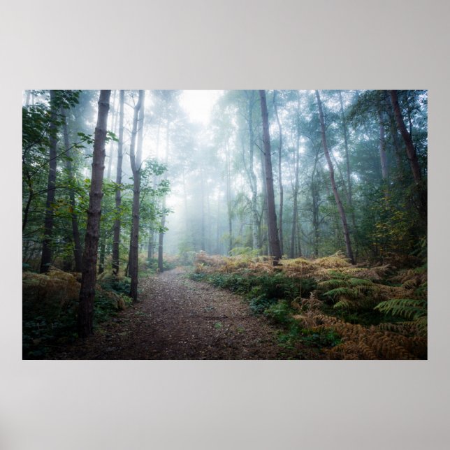 Wälder | Dark Foggy Woods Norfolk Vereinigtes Köni Poster (Vorne)