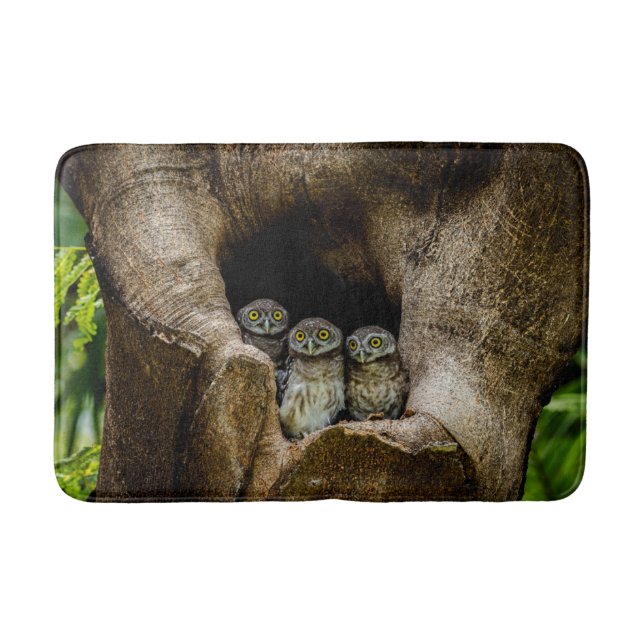 Wälder | Drei Eulen suchen Badematte (Vorderseite)