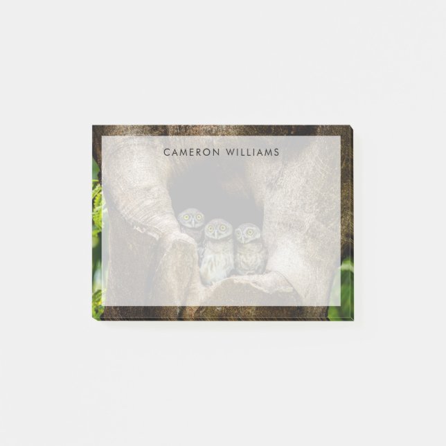 Wälder | Drei Eulen suchen Post-it Klebezettel (Vorderseite)