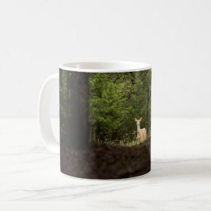 Wälder   Ein weißer Schwanz im Wald Kaffeetasse
