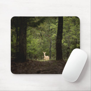 Wälder Ein weißer Schwanz im Wald Mousepad