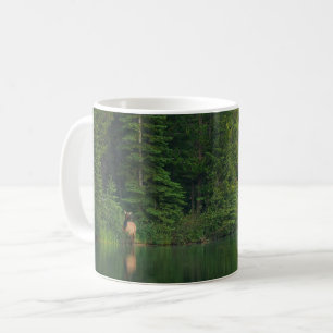 Wälder   Elch im Banff-Nationalpark Alberta Kaffeetasse