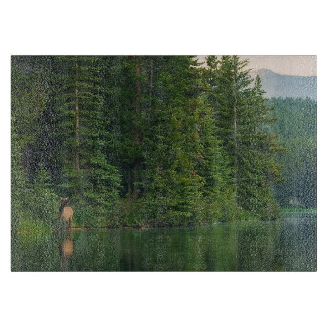Wälder | Elch im Banff-Nationalpark Alberta Schneidebrett (Vorderseite)