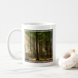 Wälder   Herbstwald Kaffeetasse