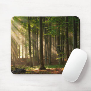 Wälder   Herbstwald Mousepad