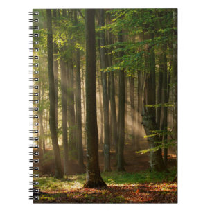 Wälder Herbstwald Notizblock
