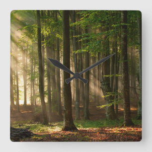 Wälder   Herbstwald Quadratische Wanduhr