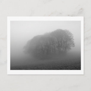 Wälder im Nebel: Cheshire, England Postkarte