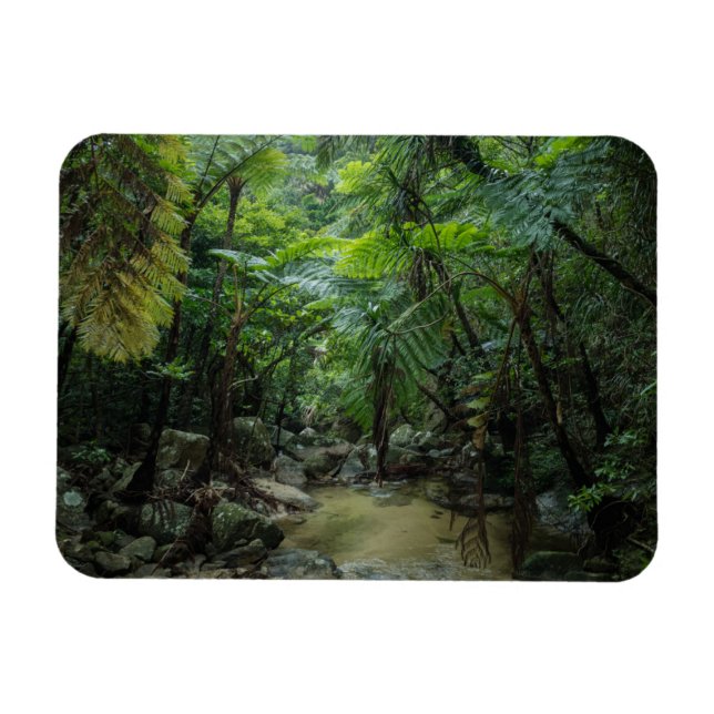 Wälder | Iriomote Ishigaki Nationalpark Magnet (Horizontal)