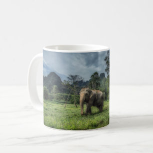 Wälder   Kao Sok Nationalpark Kaffeetasse