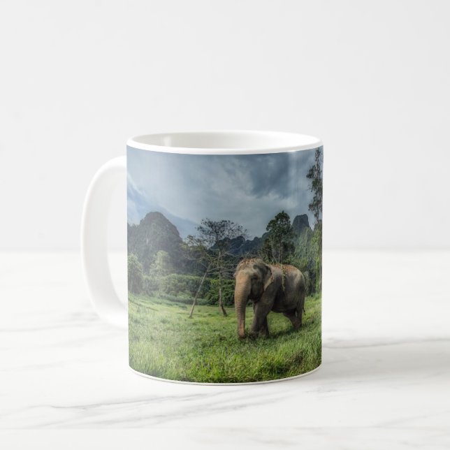 Wälder | Kao Sok Nationalpark Kaffeetasse (Vorderseite Links)