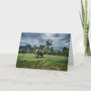 Wälder   Kao Sok Nationalpark Karte