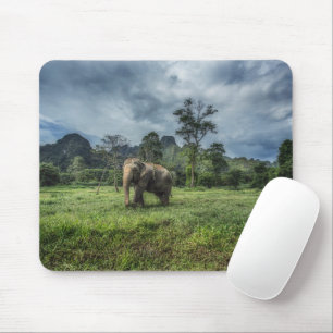 Wälder   Kao Sok Nationalpark Mousepad
