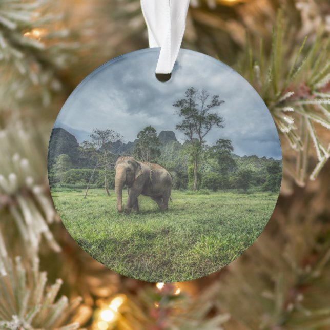 Wälder | Kao Sok Nationalpark Ornament (Baum)