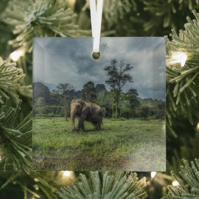 Wälder | Kao Sok Nationalpark Ornament Aus Glas (Insitu)