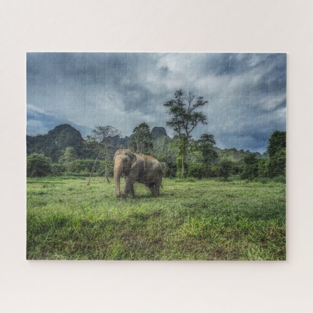 Wälder | Kao Sok Nationalpark Puzzle (Horizontal)