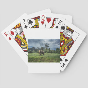 Wälder Kao Sok Nationalpark Spielkarten