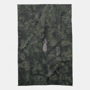 Wälder   Lalibela Game Reserve Geschirrtuch