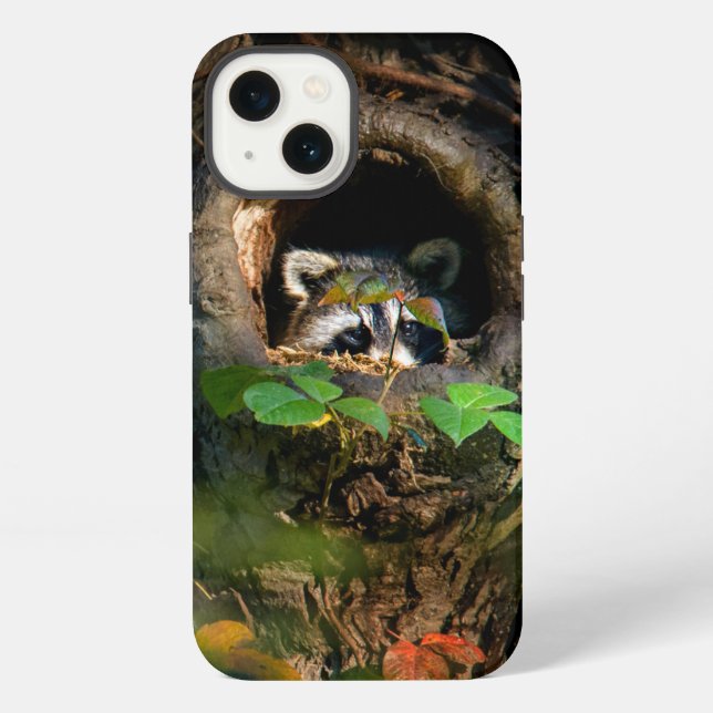 Wälder | Neugieriger Waschbär iPhone Hülle (Rückseite)