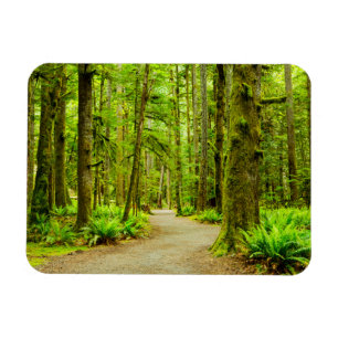 Wälder   Olympischer Nationalpark Magnet