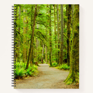Wälder Olympischer Nationalpark Notizbuch