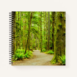 Wälder Olympischer Nationalpark Notizbuch
