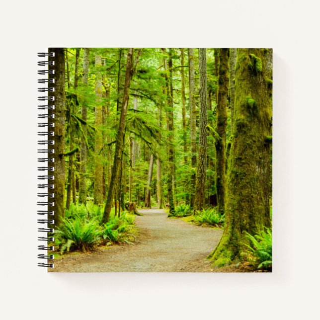 Wälder | Olympischer Nationalpark Notizbuch (Vorderseite)