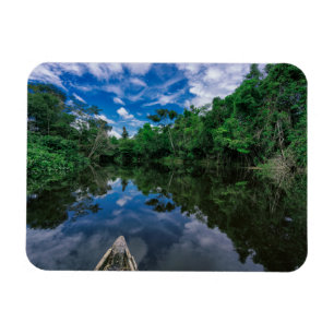 Wälder   Peruanischer Dschungelwald Magnet