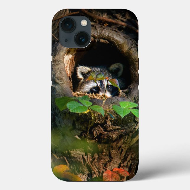 Wälder | Raccoon Peeking Case-Mate iPhone Hülle (Rückseite)