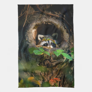Wälder   Raccoon Peeking Geschirrtuch