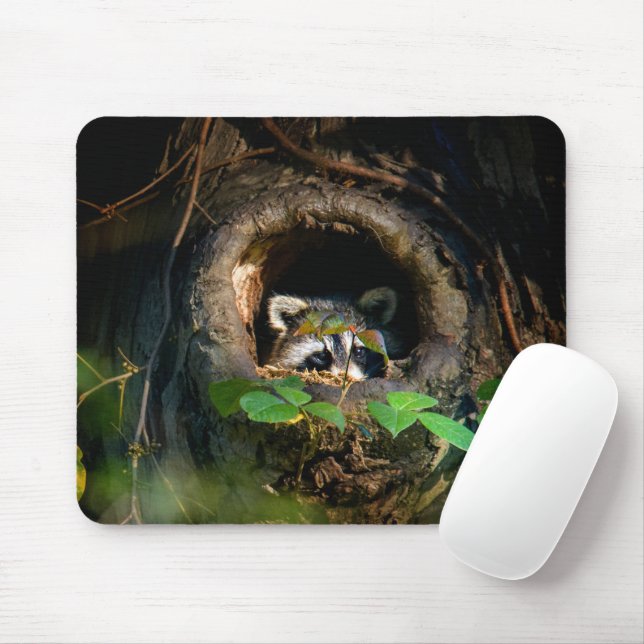 Wälder | Raccoon Peeking Mousepad (Mit Mouse)