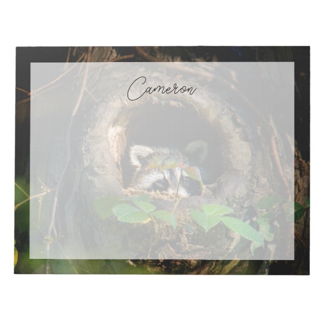 Wälder | Raccoon Peeking Notizblock (Vorderseite)