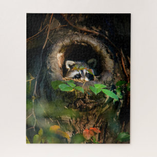 Wälder   Raccoon Peeking Puzzle