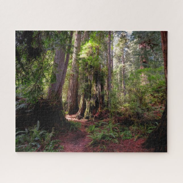 Wälder | Redwood Forest California Puzzle (Horizontal)