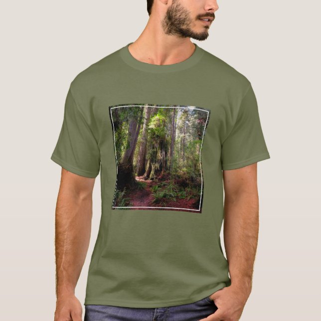 Wälder | Redwood Forest California T-Shirt (Vorderseite)