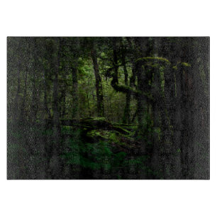 Wälder   Routeburn Track Fiordland Nationalpark Schneidebrett