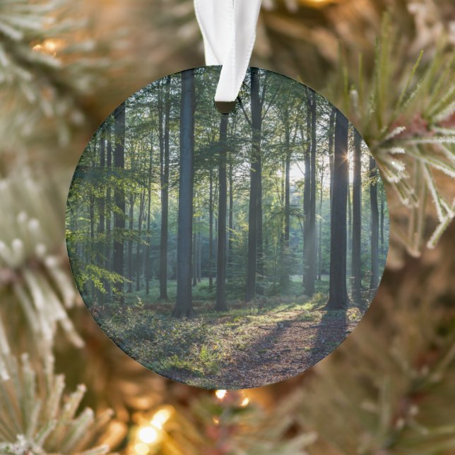 Wälder | Schwarzwald Deutschland Ornament (Baum)