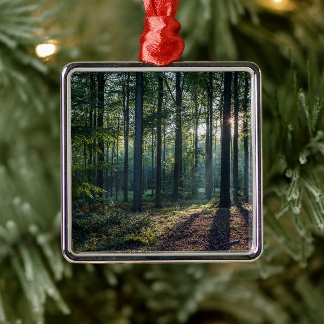 Wälder | Schwarzwald Deutschland Ornament Aus Metall (Baum)