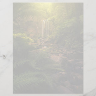 Wälder Sonnenlicht Highlights Wasserfall