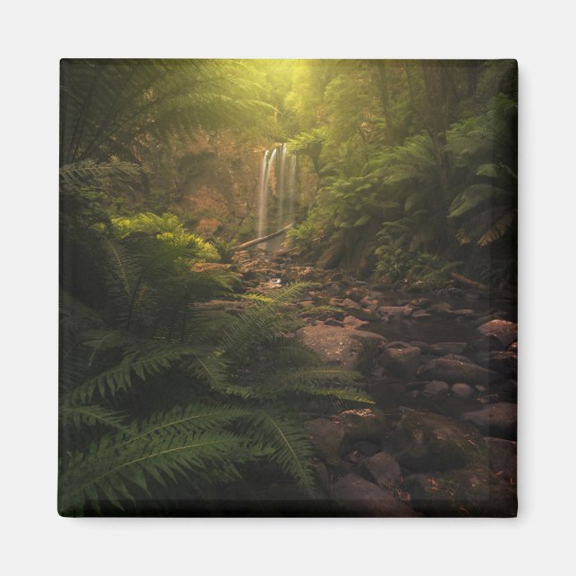 Wälder | Sonnenlicht Highlights Wasserfall Magnet (Vorne)