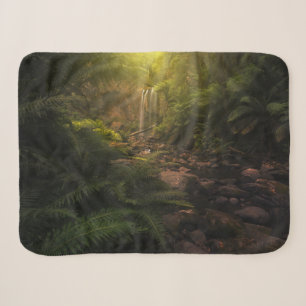 Wälder Sonnenlicht Highlights Wasserfall Sherpadecke