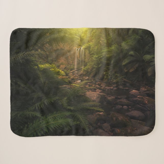 Wälder | Sonnenlicht Highlights Wasserfall Sherpadecke (Vorderseite (Horizontal))