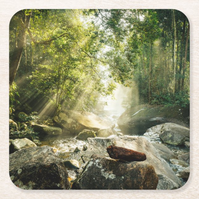 Wälder | Tropischer Dschungelwald Rechteckiger Pappuntersetzer (Vorderseite)