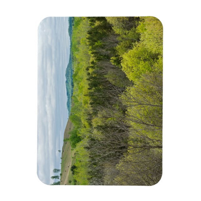 Wälder und Hügel in den Schwarzen Wasserfällen Magnet (Vertikal)